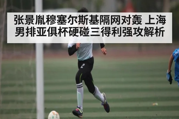 张景胤穆塞尔斯基隔网对轰 上海男排亚俱杯硬碰三得利强攻解析